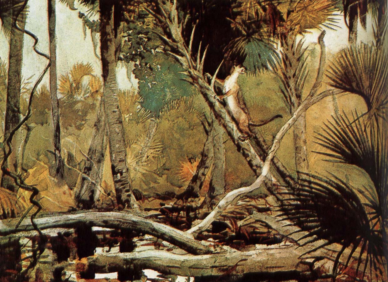 Winslow Homer Florida Jungle